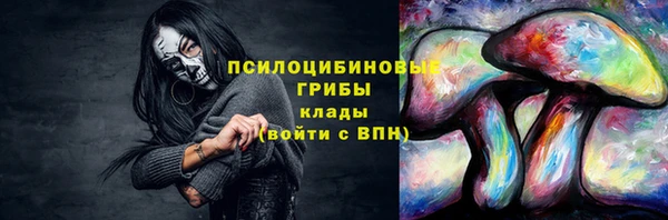 стаф Вязники