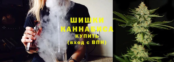 крисы Вязьма