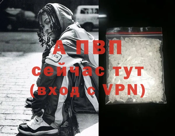 стаф Вязники