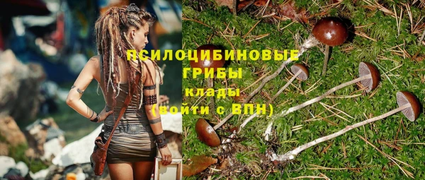 крисы Вязьма