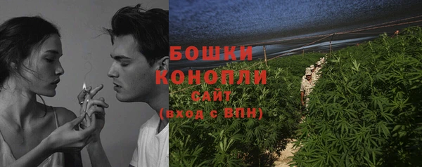 стаф Вязники
