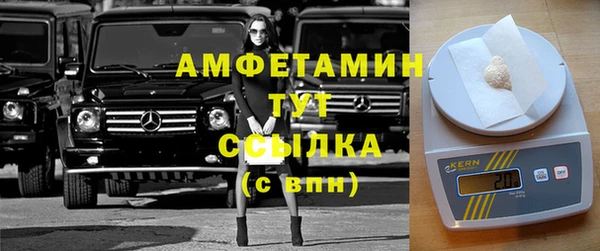 крисы Вязьма