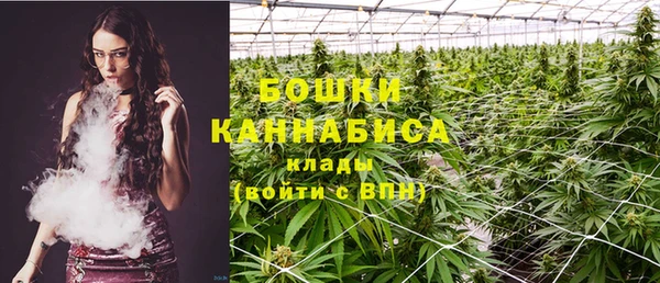 стаф Вязники