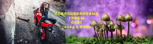 Альфа ПВП Вяземский