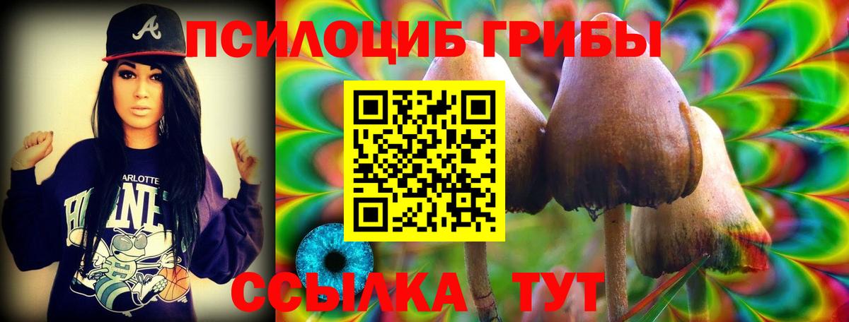Галлюциногенные грибы прущие грибы Изобильный